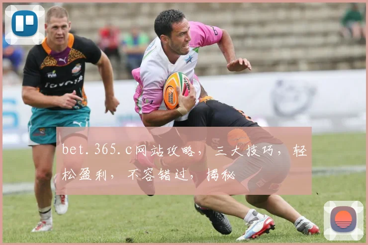 bet.365.c网站攻略，三大技巧，轻松盈利，不容错过，揭秘