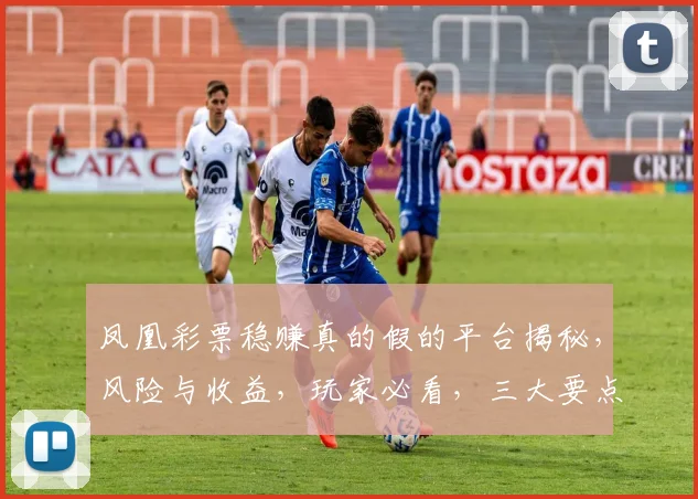 凤凰彩票稳赚真的假的平台揭秘，风险与收益，玩家必看，三大要点解析
